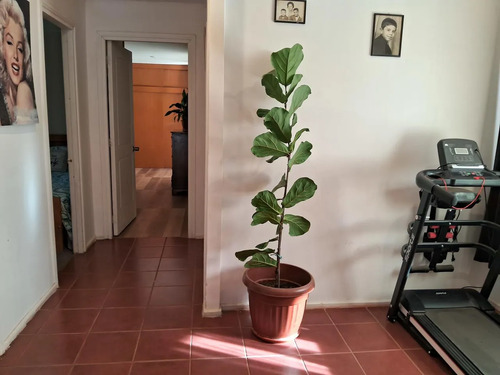 Parcela Con Casa  En Venta  Sector La Viñita