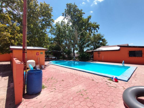 Imagen 8 de 12 de Local Comercial En Venta Centro