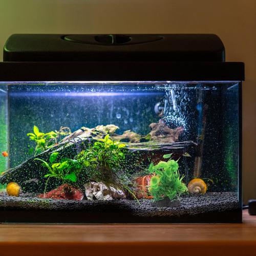 Adorno De Césped Artificial De Plástico Para Acuario, Pecera