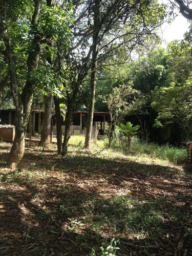 Imagem 10 de 15 de Terreno / Area - Centro - Ref: 3267 - V-3267