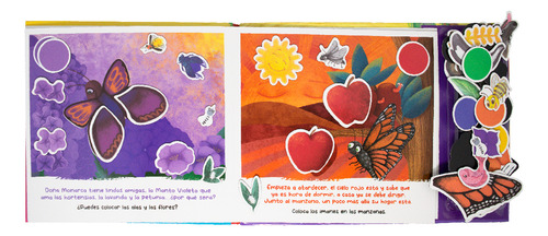 Libro Magnético Colores