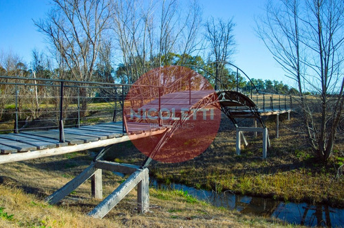 Imagen 10 de 13 de Venta Lote| La Asuncion | Lote Central | 100% Financiación