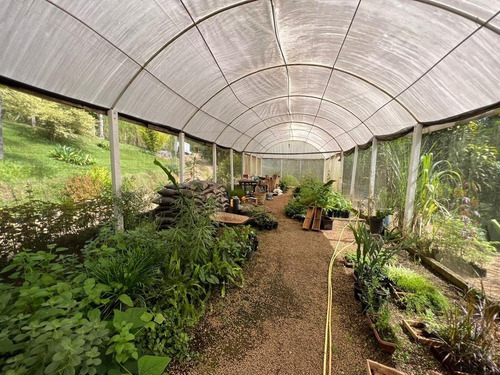 Imagem 10 de 30 de Chácara 2048m2, Casa Sede, Loja, Depósito, Viveiro De Plantas Com Estufa, Acesso Asfaltado, Poço Caipira, Ótima Localização - Ch00256 - 70814196