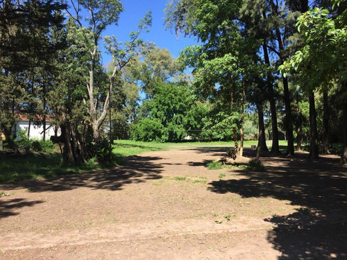 Terreno - Bella Vista