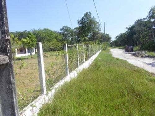 Imagem 14 de 14 de Chácara Em Itanhaém Coronel 5000 Mts Da Rodovia 3dormitorios