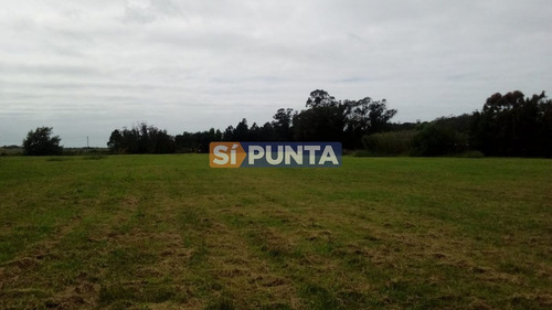 Imagen 3 de 16 de Chacra En Alquiler Manantiales