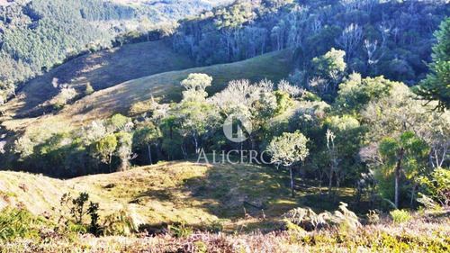Imagem 2 de 9 de Sítio À Venda, 35000 M² Por R$ 180.000 - Centro - Alfredo Wagner/sc - Si0014