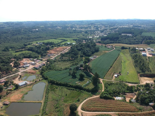 Imagem 9 de 15 de Sítio / Chácara Para Venda Em Quitandinha, Abranches - 150_2-1571928
