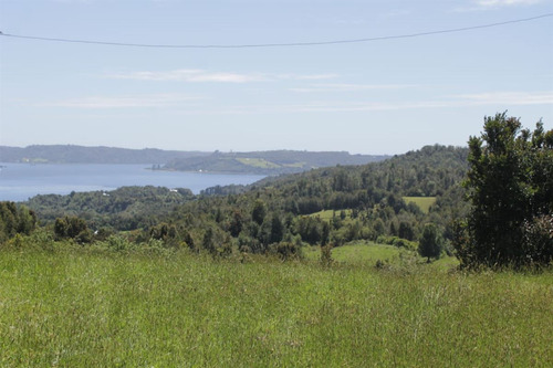 En Venta Parcela De 1 Hectárea Con Lodge En Funcionando