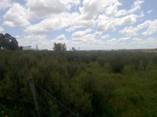 Campo , Chacra, Cerca De La Ciudad De Treinta Y Tres, Se Puede Fraccionar Terreno - Treinta Y Tres