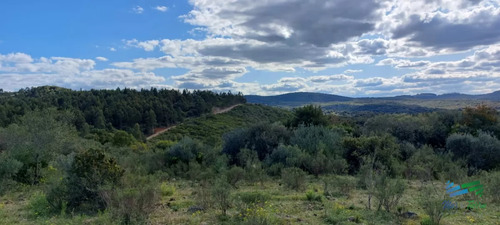 17 Has En Plena Sierra De Carape, Monte Nativo Y Vistas Privilegiadas
