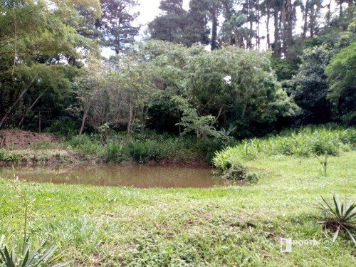 Terreno À Venda, 10000 M² Por R$ 1.000.000,00 - Jardim Dos Ipês - Embu Das Artes/sp - Te0179