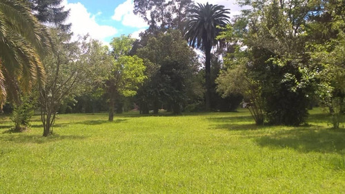 Imagen 4 de 6 de Lotes En Venta Con Financiacion - San Vicente