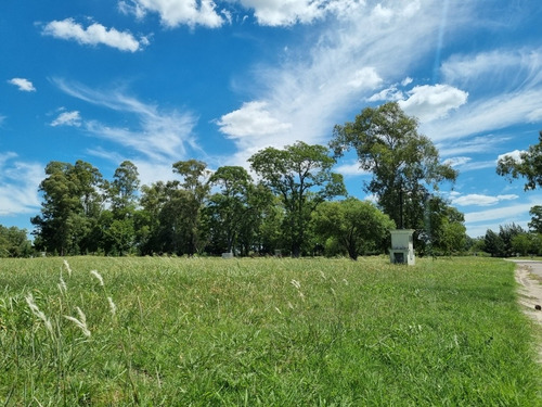 Imagen 6 de 15 de Lote Etapa 1 Gran Oportunidad - Hay Financiacion Pinares C.c.