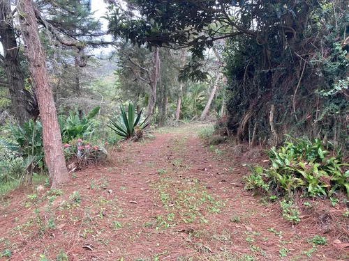 Finca En Venta Carayaca