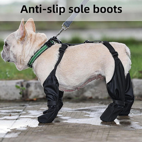 Protector De Patas Para Mascotas Con Correa Auxiliar Perros
