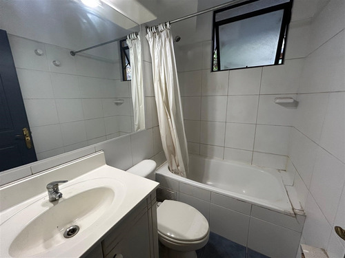 Departamento En Arriendo 1dorm-1baño Metro Inés De Suarez