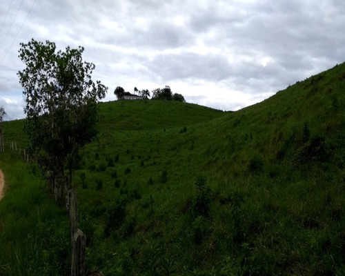 Fazenda - 0260 - 32820388