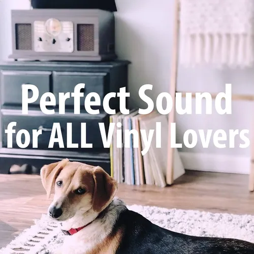 Reproductor De Discos Bluetooth 6 En 1 Con Altavoces Integra