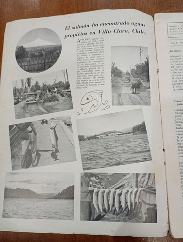 Revista Carnada Impetu Octubre 1936 N°2 (Usado)