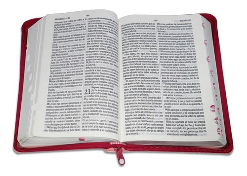 Biblia Letra Grande Rosa Cierre E Indice Reina Valera 1960