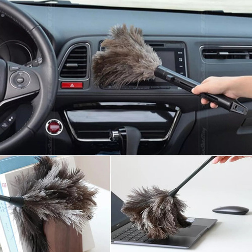 Plumero Retráctil De Plumas De Avestruz Para Eliminar El Pol