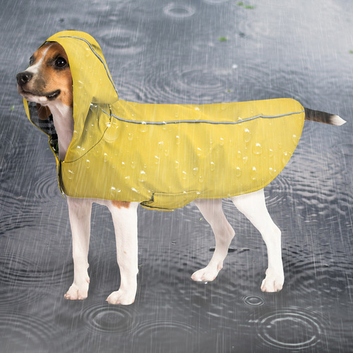 Impermeable Poncho Lluvia Para Perros Con Capucha Ch - Xxl Amarillo Grande
