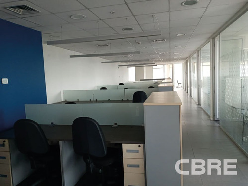 Imagen 11 de 14 de Oficinas Desde 331 M² En Edificio Rosario Norte 100