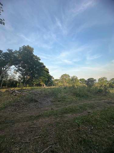 Terreno Con 369.33 Metros Cuadrados
