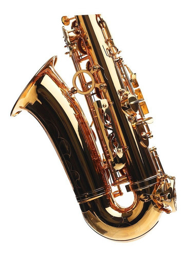 Imagen 6 de 7 de Saxofón Alto Dorado Cora By L. America + Accesorios