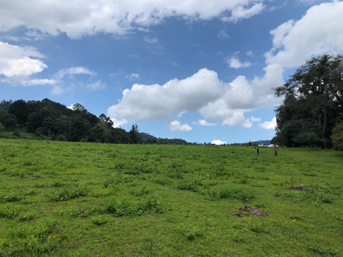 Oportunidad De Terreno En Valle De Bravo, Con Vistas Al Bosque 