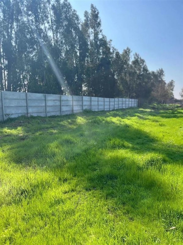 Imagen 7 de 23 de Sitio En Venta En Isla De Maipo