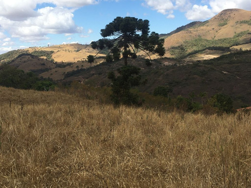 Imagem 21 de 24 de Chácara À Venda, 2800 M² Por R$ 80.000 - Zona Rural - Caldas/mg - Ch0126