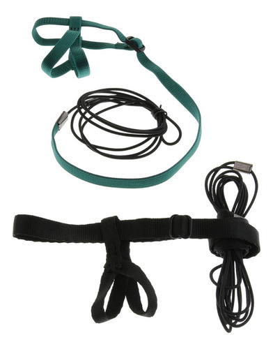 2 Correas Elásticas Duraderas Para Pájaro Loro Para Periquit Color Fix