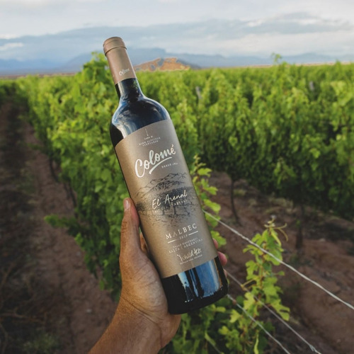 Imagen 3 de 10 de Vino Colomé Single Vineyard El Arenal Malbec X 6 X 750ml.