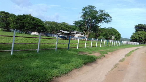Imagen 3 de 14 de Grandiosa Finca En Via Al Baul 1200 Hectareas