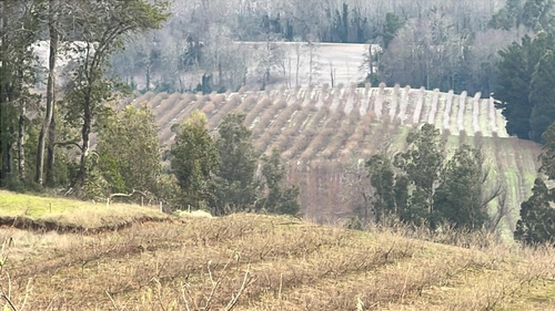 Agrícola En Venta En Gorbea