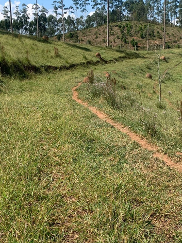 Imagem 6 de 6 de K22-terreno Cercado E Demarcado