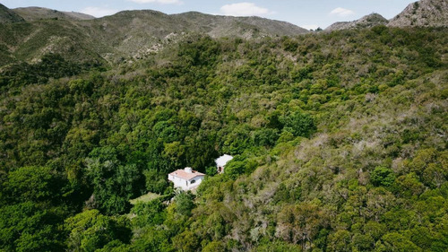 Imagen 26 de 28 de Se Venden 148 Ha De Terreno En Cerro Pan De Azúcar