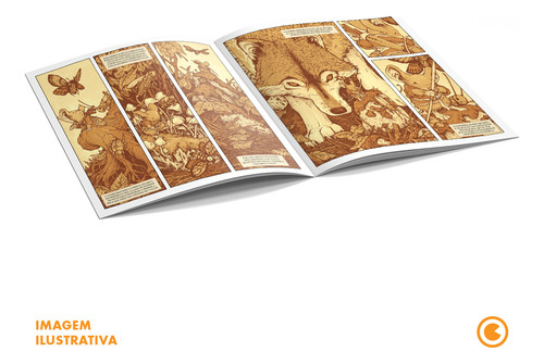 Livro Mouse Guard Os Pequenos Guardiões: O Cuidador De Coruja E Outras Histórias, De David Petersen (). Editorial Conrad, Tapa Mole, Edición 1 En Português, 2024