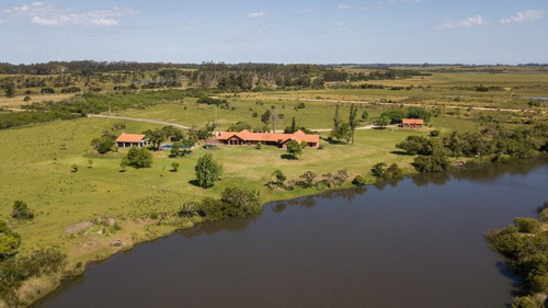 Imagen 2 de 10 de Campo - José Ignacio