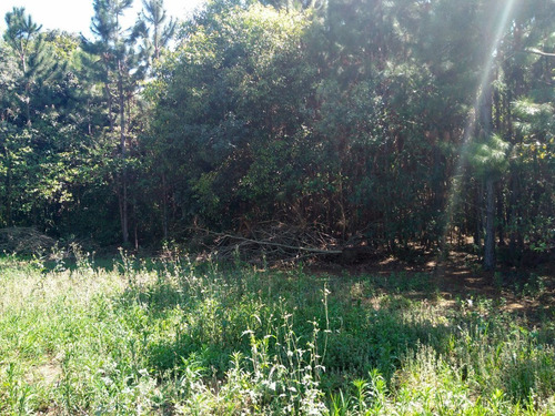 Chacara-para-venda-em-mirandas-tatui-sp - 131