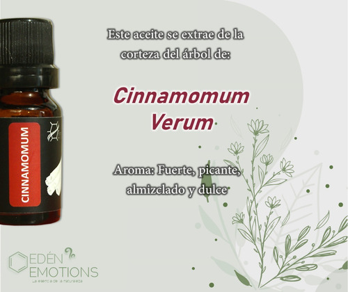 Aceite Esencial Canela 100% Natural Y Puro 11 Ml