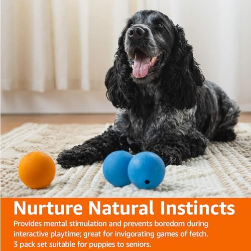 Basics Squeaker Toy Pelotas Para Perros, 2,5 Pulgadas, Paque