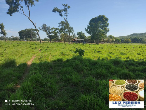 Fazenda À Venda Em Pium - To - De 170 Alqueirões (dupla Aptidão) - 1609