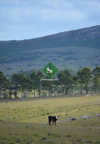 Venta De Chacra En Las Sierra De Los Caracoles, Unico Para Descansar- Ref: 16220