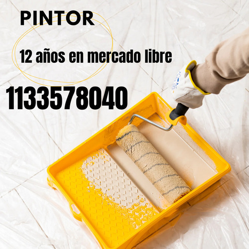 Pintor Caba 11 Años En Mercadolibre 11 33578040 