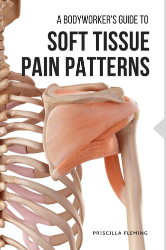 Libro: A Bodyworker S Guide To Soft Tissue Pain