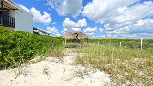 Puerto Morelos: Vive O Invierte En Un Lote Único Frente Al Mar