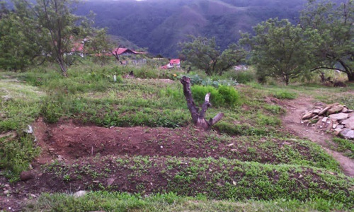 Imagen 11 de 21 de Se Vende Finca 20.748 M2 El Jarillo